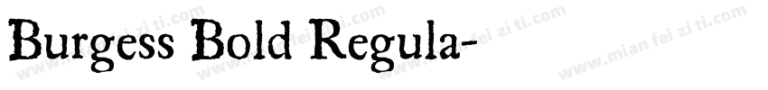 Burgess Bold Regula字体转换